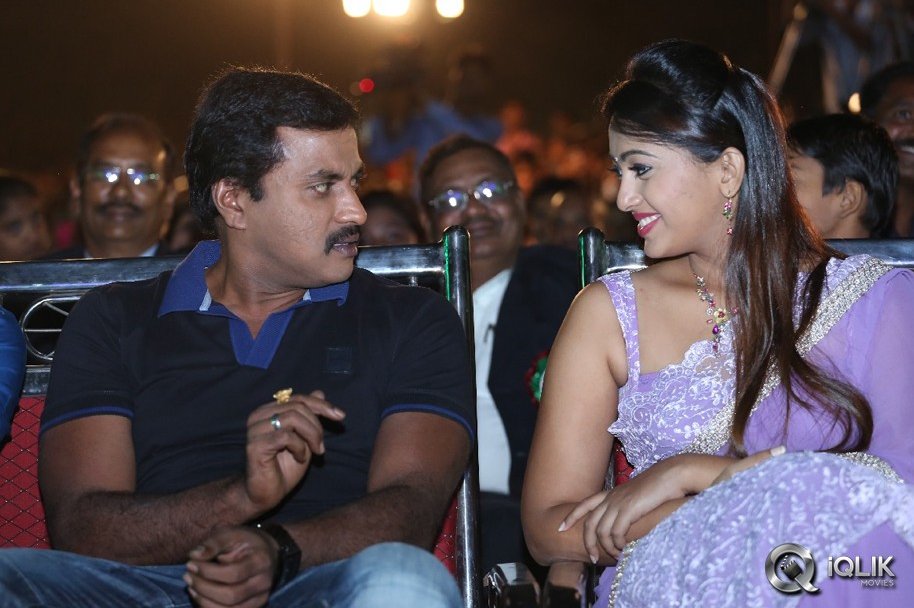 Bheemavaram-Bullodu-Platinum-Disc-Function